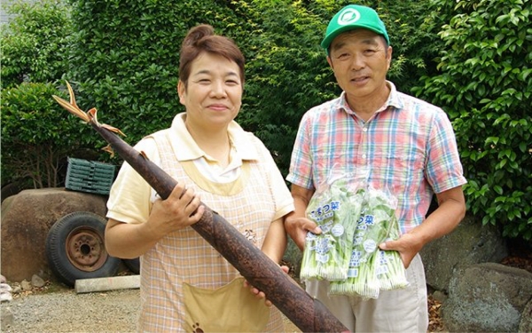 杉正農園さん