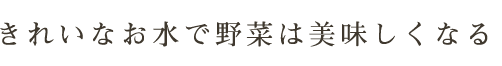 れいなお水で野菜は美味しくなる