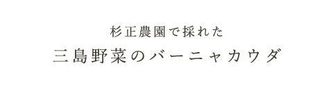 箱根野菜のバーニャカウダ